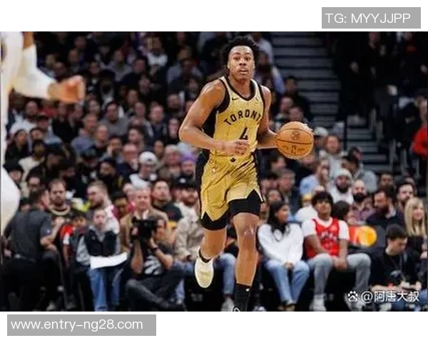 斯科蒂巴恩斯：从新秀到明星球员的成长之路与未来展望