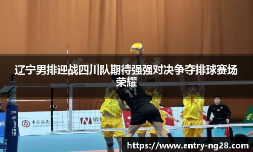 辽宁男排迎战四川队期待强强对决争夺排球赛场荣耀