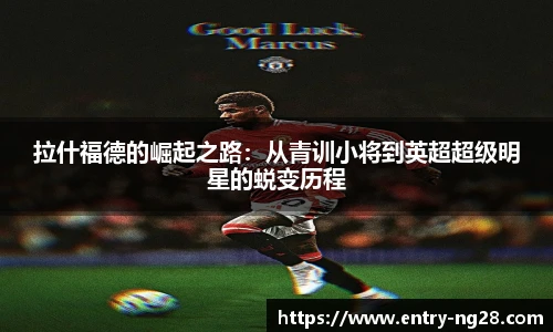 南宫NG28